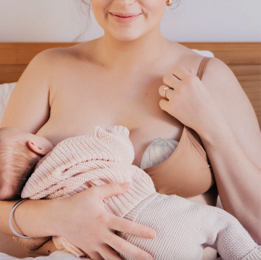 Shell Recolectora de leche Haakaa 75 ml