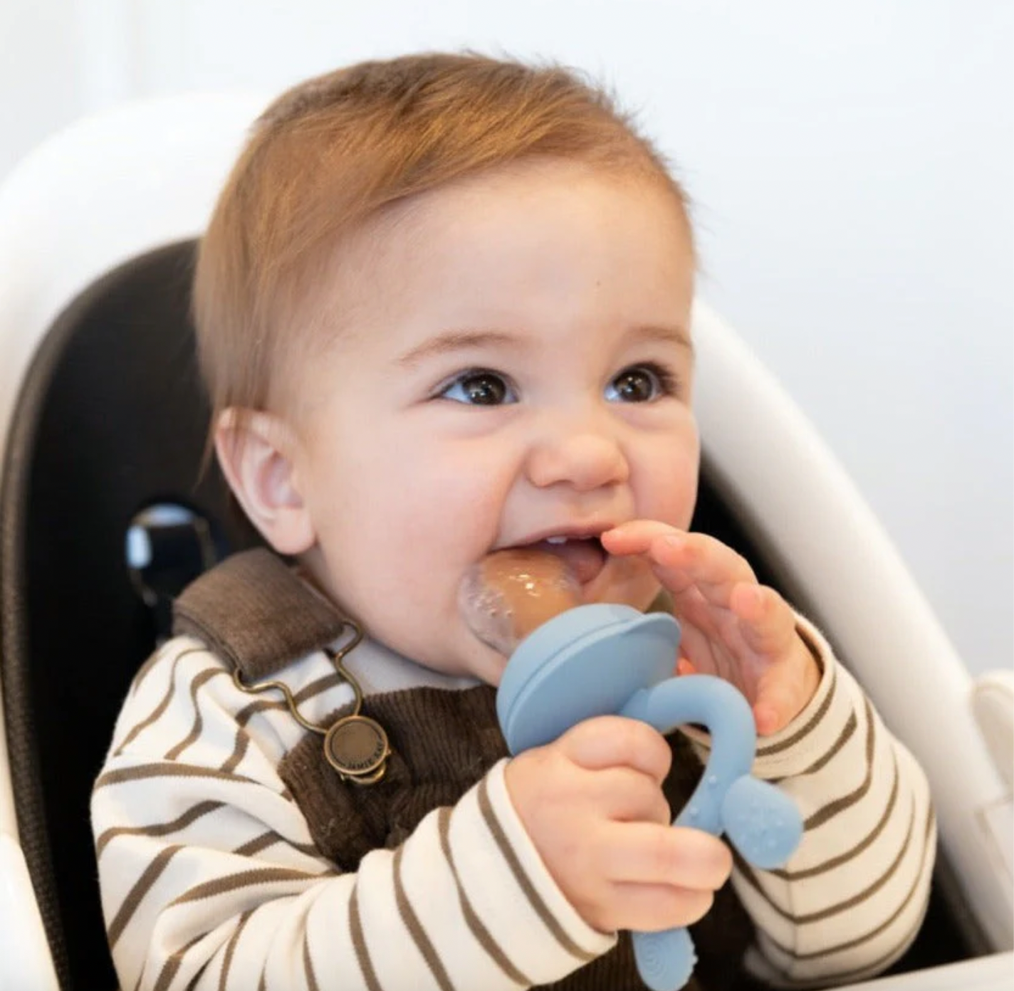 Mordedor Freeze-N-Feed